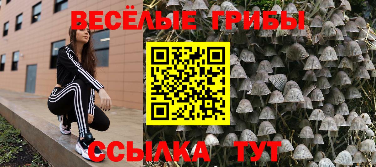 Галлюциногенные грибы ЛСД Ефремов